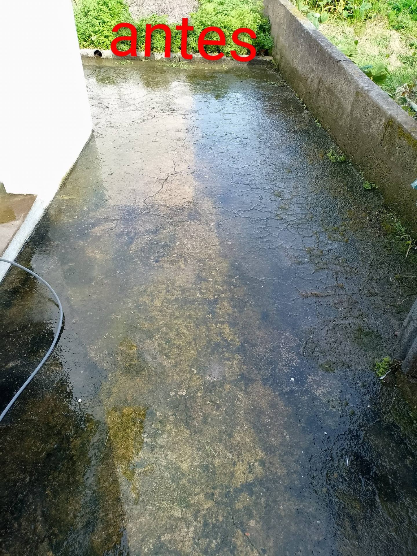 Lavagem de terraço — antes
